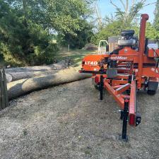 Tree-Removal-and-Sawmill-Services-project-in-Sudlersville-MD 11